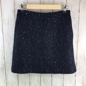 Sequin Navy Blue Skirt